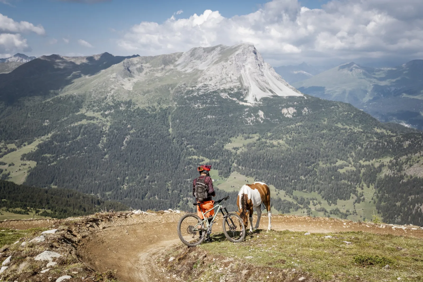Dallo Zirmtrail al Plamort.